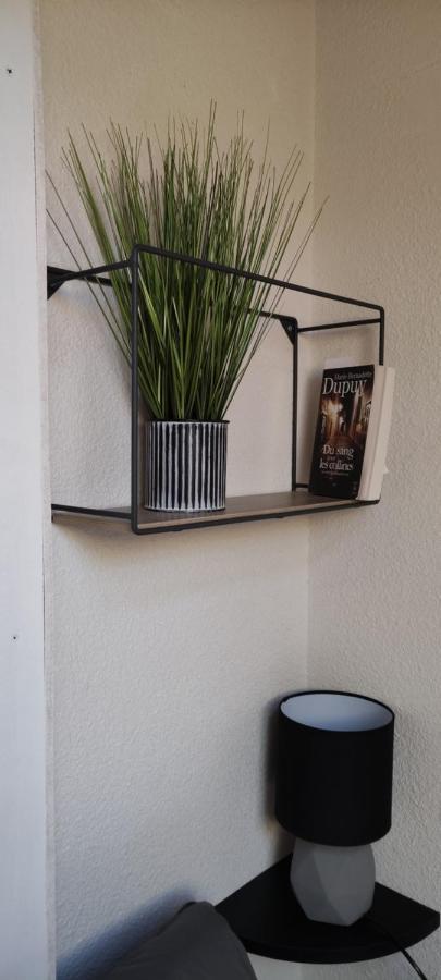 Appartement T2 A Bernex Avec Wifi, Vue Sur Montagne Zewnętrze zdjęcie