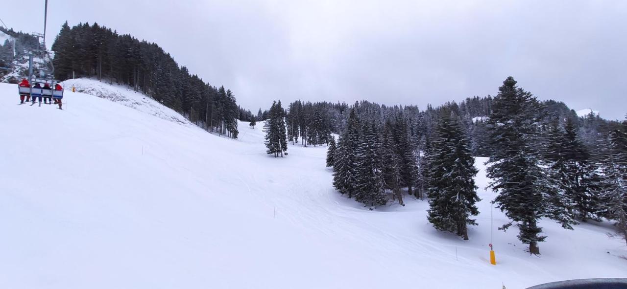 Appartement T2 A Bernex Avec Wifi, Vue Sur Montagne Zewnętrze zdjęcie