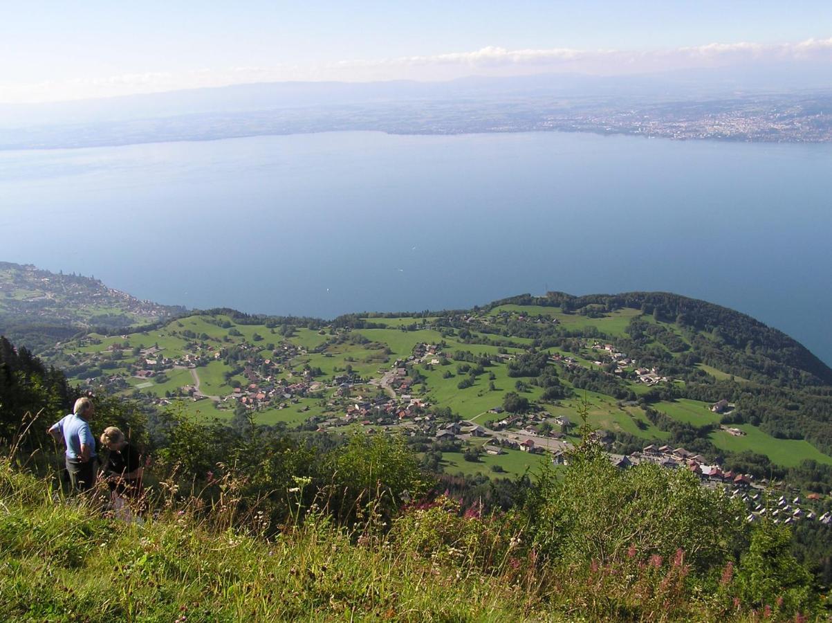 Appartement T2 A Bernex Avec Wifi, Vue Sur Montagne Zewnętrze zdjęcie