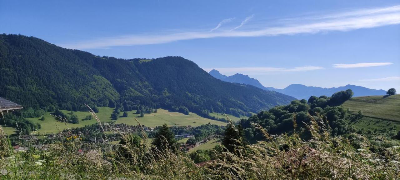 Appartement T2 A Bernex Avec Wifi, Vue Sur Montagne Zewnętrze zdjęcie